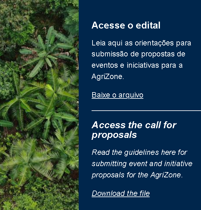 captura-de-tela-2025-06-17-100725