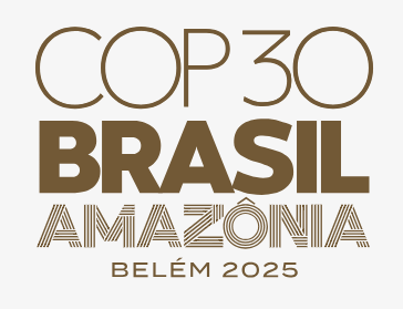 captura-de-tela-2025-06-19-095513