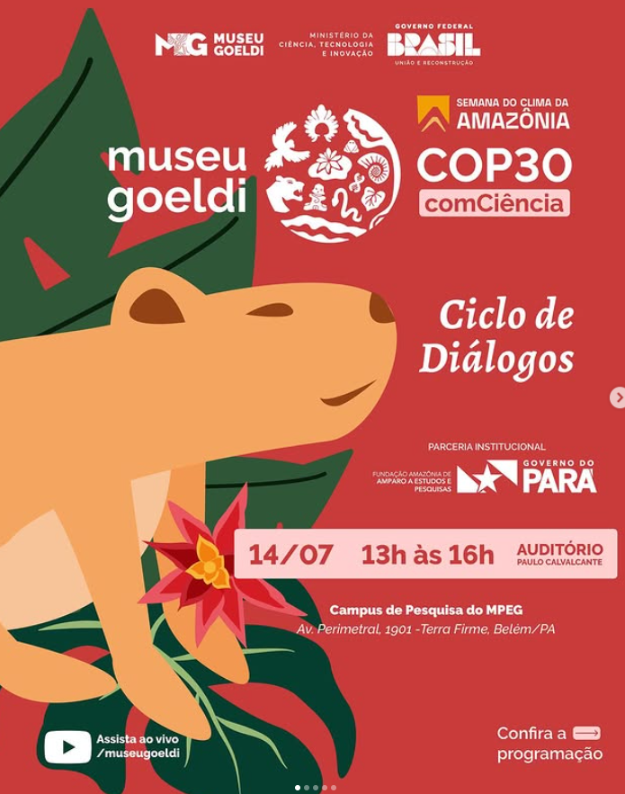 captura-de-tela-2025-07-08-161800