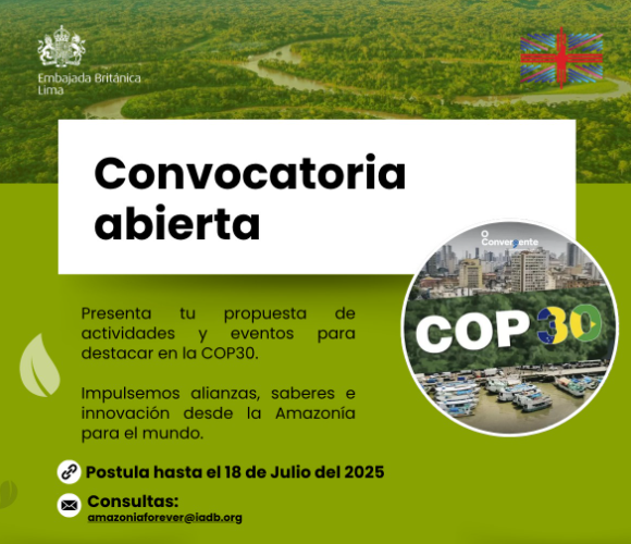 captura-de-tela-2025-07-08-164012