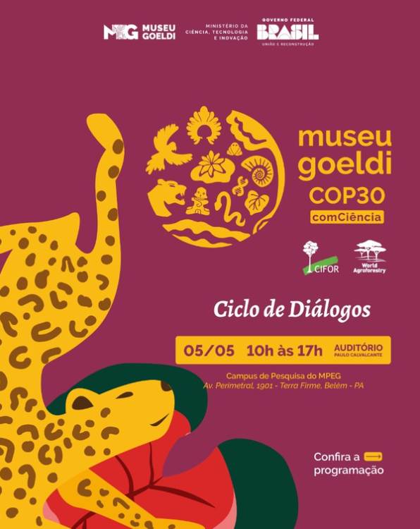 captura-de-tela-2025-05-03-103914